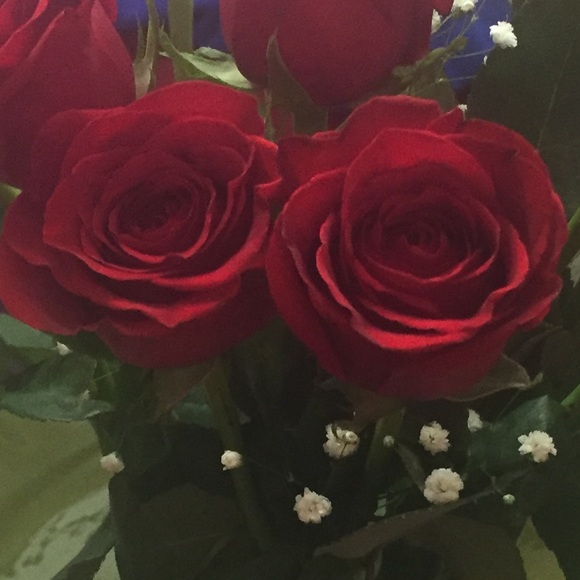 Meet your Posher, Kristina - Picture 1 of 1